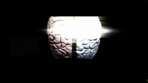 Πως οι τροφές επηρεάζουν τον εγκέφαλο