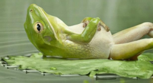 Από τι προκαλείται το φούσκωμα: Τρεις απρόσμενες αιτίες…