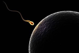 Υπογονιμότητα, χημικές ουσίες και καλλυντικά