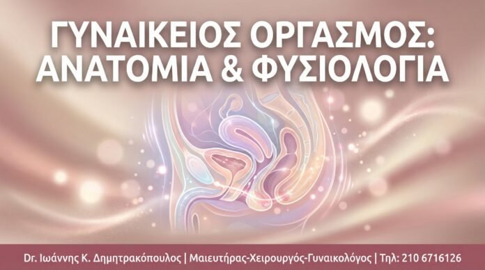 Γυναικείος Οργασμός: Ανατομία, Φυσιολογία & Τι Πραγματικά Συμβαίνει στο Σώμα