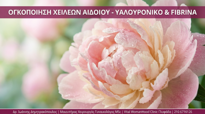 Γυναικολόγος Γλυφάδα - Ογκοποίηση Χειλέων Αιδοίου - Vital WomanHood Clinic