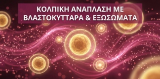 Γυναικολόγος Γλυφάδα - Κολπική Ανάπλαση Βλαστοκύτταρα Εξωσώματα - Vital WomanHood Clinic