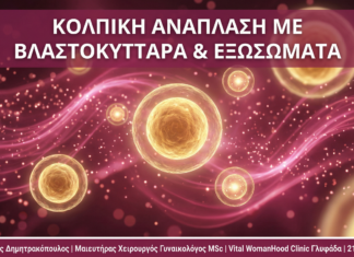 Γυναικολόγος Γλυφάδα - Κολπική Ανάπλαση Βλαστοκύτταρα Εξωσώματα - Vital WomanHood Clinic