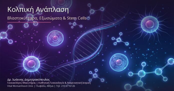 Επανορθωτική Γυναικολογία & Κολπική Ανάπλαση: Βλαστοκύτταρα, Εξωσώματα & Stem Cells Επανορθωτική Γυναικολογία & Κολπική Ανάπλαση: Βλαστοκύτταρα, Εξωσώματα & Stem Cells
