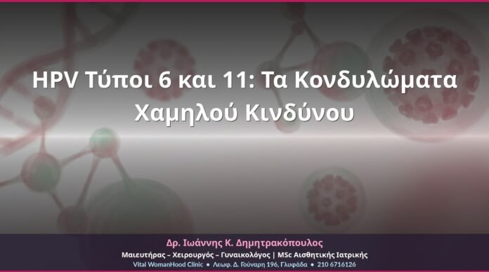 cover-hpv-typos-6-11-kondylomata-3