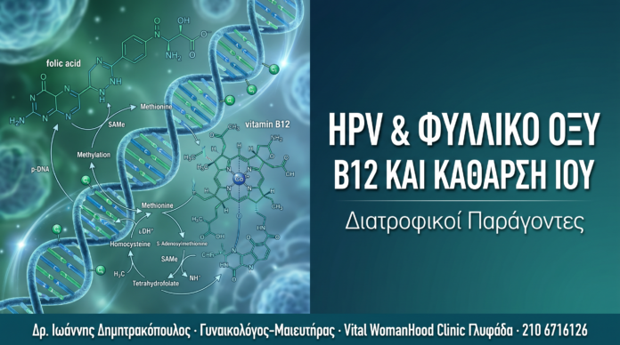HPV & Φυλλικό Οξύ / Βιταμίνη B12 — Διατροφικοί Παράγοντες Κάθαρσης