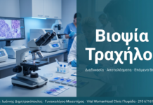 Βιοψία Τραχήλου Μήτρας: Διαδικασία, Αποτελέσματα και Παρακολούθηση Βιοψία Τραχήλου Μήτρας: Διαδικασία, Αποτελέσματα και Παρακολούθηση