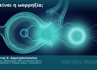 Τι είναι η ωορρηξία;