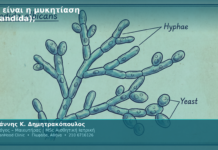 Τι είναι η μυκητίαση (candida); Τι είναι η μυκητίαση (candida);