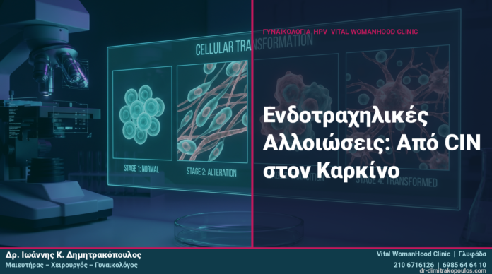 cover-art21-hpv-dr-dimitrakopoulos