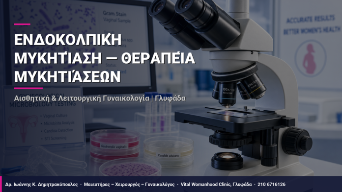 cover_120