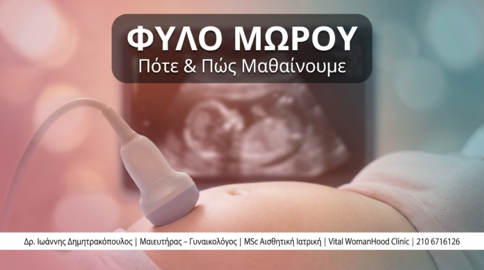 cover_38_fylo_morou-1