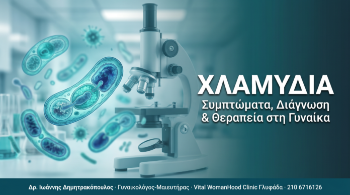 cover_41_xlamidia