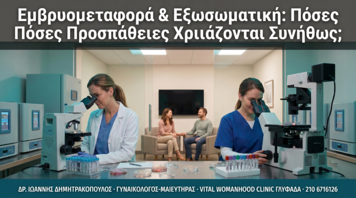 article_8_cover-1