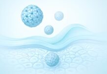 Μοντέρνα ιατρική απεικόνιση του ιού HPV σε δερματικές και βλεννογόνες στιβάδες σε φωτεινό ιατρικό περιβάλλον