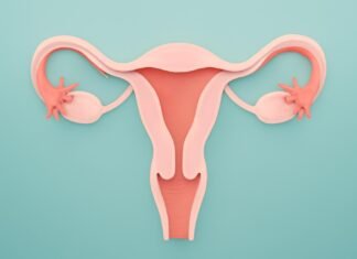 Σαλπιγγίτιδα: Φλεγμονή στις Σάλπιγγες και Επιπτώσεις στη Γονιμότητα Ιατρική απεικόνιση σαλπίγγων και φλεγμονής