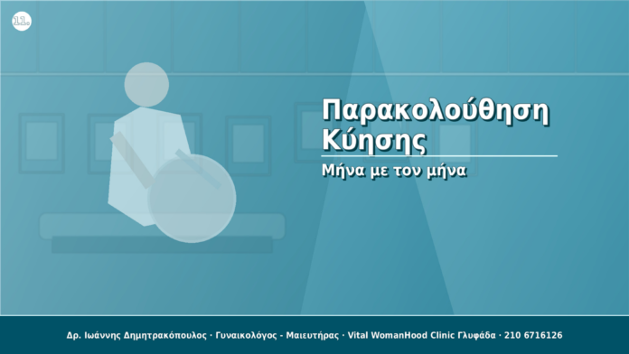 cover_11_parakolouthisi_kyisis