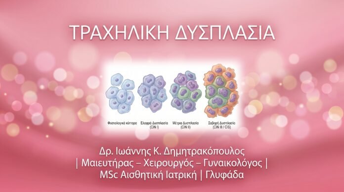 cover_26