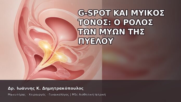 G-Spot και Μυϊκός Τόνος: Ο Ρόλος των Μυών της Πυέλου - Δρ. Ιωάννης Κ. Δημητρακόπουλος