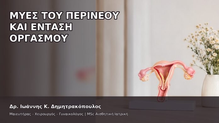 gspot-orgasmos-15-5 Μύες του Περινέου και Ένταση Οργασμού - Δρ. Ιωάννης Κ. Δημητρακόπουλος