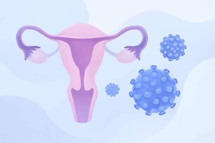 HPV Λοίμωξη: Τι Σημαίνει για τον Τράχηλο της Μήτρας Ιατρική απεικόνιση HPV και τραχήλου