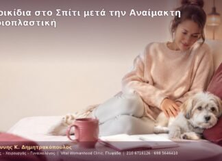Κατοικίδια στο Σπίτι μετά την Αναίμακτη Αιδοιοπλαστική