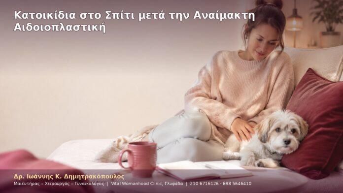 Κατοικίδια στο Σπίτι μετά την Αναίμακτη Αιδοιοπλαστική