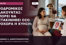 προδρομικός πλακούντας