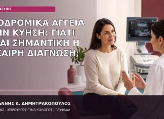 προδρομικά αγγεία κύηση