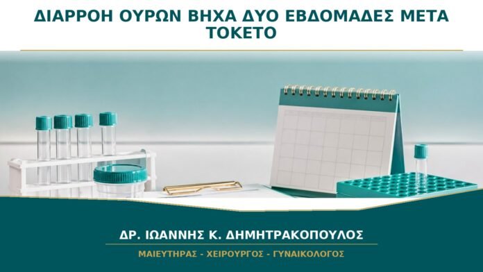 gynaikologikes-ypiresies-b22-24 Διαρροή Ούρων με Βήχα Δύο Εβδομάδες μετά τον Τοκετό: Πότε Αρχίζει Αξιολόγηση;