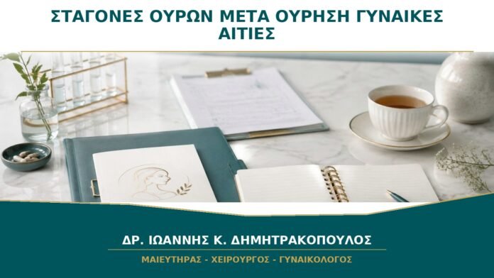 gynaikologikes-ypiresies-b31-11 Σταγόνες Ούρων αφού Τελειώσω την Ούρηση: Γιατί Συμβαίνει στις Γυναίκες;