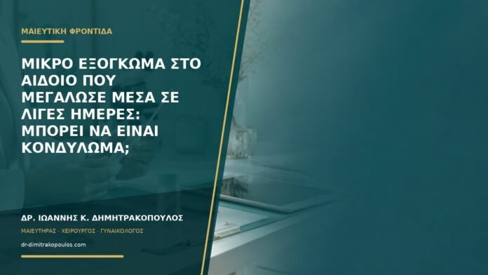gynaikologikes-ypiresies-b59-01 Μικρό εξόγκωμα στο αιδοίο που μεγάλωσε μέσα σε λίγες ημέρες: μπορεί να είναι κονδύλωμα;