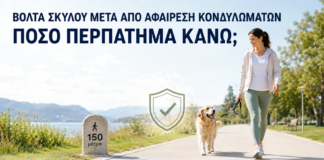 Βόλτα Σκύλου μετά από Αφαίρεση Κονδυλωμάτων: Πόσο Περπάτημα Κάνω; - Δρ. Ιωάννης Κ. Δημητρακόπουλος