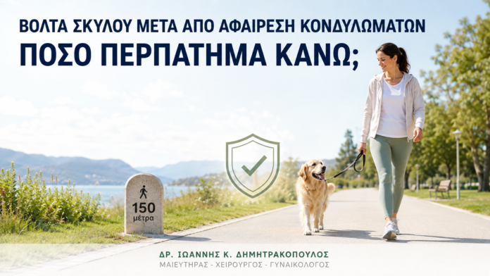 Βόλτα Σκύλου μετά από Αφαίρεση Κονδυλωμάτων: Πόσο Περπάτημα Κάνω; - Δρ. Ιωάννης Κ. Δημητρακόπουλος