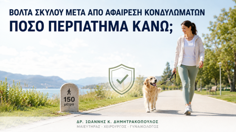 Βόλτα Σκύλου μετά από Αφαίρεση Κονδυλωμάτων: Πόσο Περπάτημα Κάνω; - Δρ. Ιωάννης Κ. Δημητρακόπουλος