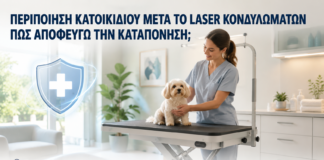 Περιποίηση Κατοικιδίου μετά από Laser Κονδυλωμάτων: Πώς Αποφεύγω την Καταπόνηση; - Δρ. Ιωάννης Κ. Δημητρακόπουλος