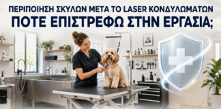 Περιποίηση Σκύλων μετά από Laser Κονδυλωμάτων: Πότε Επιστρέφω στην Εργασία; - Δρ. Ιωάννης Κ. Δημητρακόπουλος