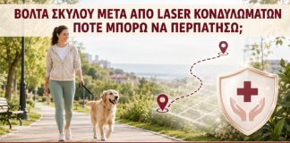 Βόλτα Σκύλου μετά από Laser Κονδυλωμάτων: Πότε Μπορώ να Περπατήσω; - Δρ. Ιωάννης Κ. Δημητρακόπουλος