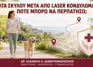 Βόλτα Σκύλου μετά από Laser Κονδυλωμάτων: Πότε Μπορώ να Περπατήσω; Βόλτα Σκύλου μετά από Laser Κονδυλωμάτων: Πότε Μπορώ να Περπατήσω; - Δρ. Ιωάννης Κ. Δημητρακόπουλος
