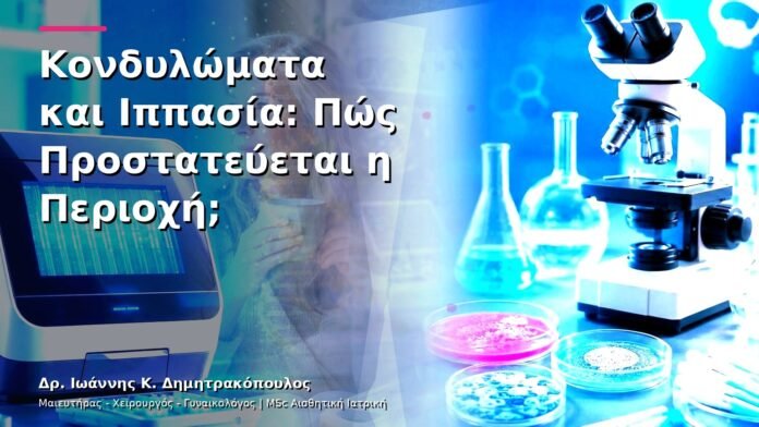 hpv-kondylomata-v13-43-7 Κονδυλώματα και Ιππασία: Πώς Προστατεύεται η Περιοχή;