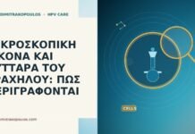ΜΙΚΡΟΣΚΟΠΙΚΗ ΕΙΚΟΝΑ ΚΑΙ ΚΥΤΤΑΡΑ ΤΟΥ ΤΡΑΧΗΛΟΥ: ΠΩΣ ΠΕΡΙΓΡΑΦΟΝΤΑΙ ΜΙΚΡΟΣΚΟΠΙΚΗ ΕΙΚΟΝΑ ΚΑΙ ΚΥΤΤΑΡΑ ΤΟΥ ΤΡΑΧΗΛΟΥ: ΠΩΣ ΠΕΡΙΓΡΑΦΟΝΤΑΙ
