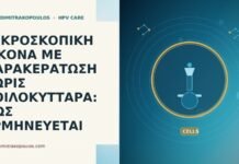 ΜΙΚΡΟΣΚΟΠΙΚΗ ΕΙΚΟΝΑ ΜΕ ΠΑΡΑΚΕΡΑΤΩΣΗ ΧΩΡΙΣ ΚΟΙΛΟΚΥΤΤΑΡΑ: ΠΩΣ ΕΡΜΗΝΕΥΕΤΑΙ ΜΙΚΡΟΣΚΟΠΙΚΗ ΕΙΚΟΝΑ ΜΕ ΠΑΡΑΚΕΡΑΤΩΣΗ ΧΩΡΙΣ ΚΟΙΛΟΚΥΤΤΑΡΑ: ΠΩΣ ΕΡΜΗΝΕΥΕΤΑΙ