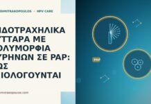 ΕΝΔΟΤΡΑΧΗΛΙΚΑ ΚΥΤΤΑΡΑ ΜΕ ΠΟΛΥΜΟΡΦΙΑ ΠΥΡΗΝΩΝ ΣΕ PAP: ΠΩΣ ΑΞΙΟΛΟΓΟΥΝΤΑΙ