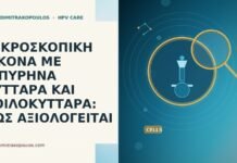 ΜΙΚΡΟΣΚΟΠΙΚΗ ΕΙΚΟΝΑ ΜΕ ΔΙΠΥΡΗΝΑ ΚΥΤΤΑΡΑ ΚΑΙ ΚΟΙΛΟΚΥΤΤΑΡΑ: ΠΩΣ ΑΞΙΟΛΟΓΕΙΤΑΙ
