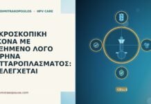 ΜΙΚΡΟΣΚΟΠΙΚΗ ΕΙΚΟΝΑ ΜΕ ΑΥΞΗΜΕΝΟ ΛΟΓΟ ΠΥΡΗΝΑ ΚΥΤΤΑΡΟΠΛΑΣΜΑΤΟΣ: ΤΙ ΕΛΕΓΧΕΤΑΙ ΜΙΚΡΟΣΚΟΠΙΚΗ ΕΙΚΟΝΑ ΜΕ ΑΥΞΗΜΕΝΟ ΛΟΓΟ ΠΥΡΗΝΑ ΚΥΤΤΑΡΟΠΛΑΣΜΑΤΟΣ: ΤΙ ΕΛΕΓΧΕΤΑΙ