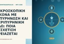 ΜΙΚΡΟΣΚΟΠΙΚΗ ΕΙΚΟΝΑ ΜΕ ΔΙΠΥΡΗΝΩΣΗ ΚΑΙ ΠΕΡΙΠΥΡΗΝΙΚΗ ΑΛΩ: ΠΟΙΑ ΣΥΣΧΕΤΙΣΗ ΧΡΕΙΑΖΕΤΑΙ ΜΙΚΡΟΣΚΟΠΙΚΗ ΕΙΚΟΝΑ ΜΕ ΔΙΠΥΡΗΝΩΣΗ ΚΑΙ ΠΕΡΙΠΥΡΗΝΙΚΗ ΑΛΩ: ΠΟΙΑ ΣΥΣΧΕΤΙΣΗ ΧΡΕΙΑΖΕΤΑΙ