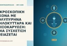 ΜΙΚΡΟΣΚΟΠΙΚΗ ΕΙΚΟΝΑ ΜΕ ΠΟΛΥΠΥΡΗΝΑ ΚΟΙΛΟΚΥΤΤΑΡΑ ΚΑΙ ΑΝΙΣΟΚΑΡΥΩΣΗ: ΠΟΙΑ ΣΥΣΧΕΤΙΣΗ ΧΡΕΙΑΖΕΤΑΙ ΜΙΚΡΟΣΚΟΠΙΚΗ ΕΙΚΟΝΑ ΜΕ ΠΟΛΥΠΥΡΗΝΑ ΚΟΙΛΟΚΥΤΤΑΡΑ ΚΑΙ ΑΝΙΣΟΚΑΡΥΩΣΗ: ΠΟΙΑ ΣΥΣΧΕΤΙΣΗ ΧΡΕΙΑΖΕΤΑΙ