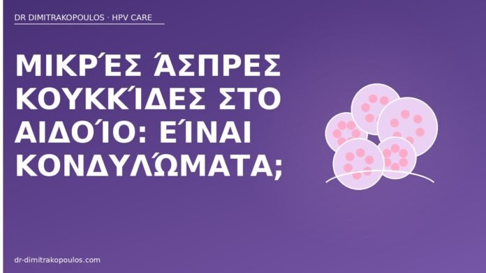 Μικρές άσπρες κουκκίδες στο αιδοίο: είναι κονδυλώματα; άσπρες κουκκίδες αιδοίο