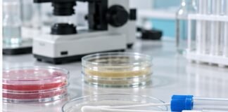 Υποτροπιάζουσα μυκητίαση: γιατί χρειάζεται επιβεβαίωση της διάγνωσης πριν από νέα θεραπεία