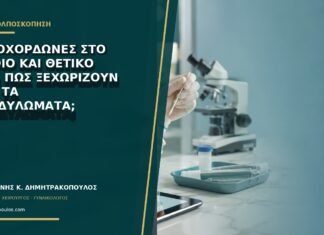 Ακροχορδώνες στο αιδοίο και θετικό HPV: πώς ξεχωρίζουν από τα κονδυλώματα;